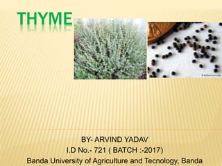 THYME
BY- ARVIND YADAV
I.D No.- 721 ( BATCH :-2017)
Banda University of Agriculture and Tecnology, Banda
 