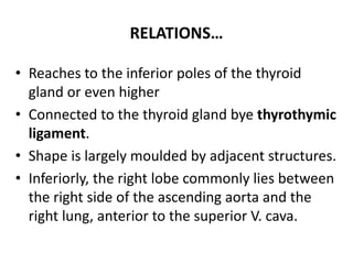 RELATIONS…
• Reaches to the inferior poles of the thyroid
gland or even higher
• Connected to the thyroid gland bye thyrothymic
ligament.
• Shape is largely moulded by adjacent structures.
• Inferiorly, the right lobe commonly lies between
the right side of the ascending aorta and the
right lung, anterior to the superior V. cava.
 