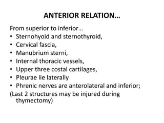 ANTERIOR RELATION…
From superior to inferior…
• Sternohyoid and sternothyroid,
• Cervical fascia,
• Manubrium sterni,
• Internal thoracic vessels,
• Upper three costal cartilages,
• Pleurae lie laterally
• Phrenic nerves are anterolateral and inferior;
(Last 2 structures may be injured during
thymectomy)
 