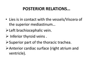 POSTERIOR RELATIONS…
• Lies is in contact with the vessels/Viscera of
the superior mediastinum…
Left brachiocephalic vein.
 Inferior thyroid veins .
Superior part of the thoracic trachea.
Anterior cardiac surface (right atrium and
ventricle).
 