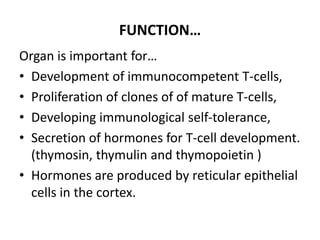 FUNCTION…
Organ is important for…
• Development of immunocompetent T-cells,
• Proliferation of clones of of mature T-cells,
• Developing immunological self-tolerance,
• Secretion of hormones for T-cell development.
(thymosin, thymulin and thymopoietin )
• Hormones are produced by reticular epithelial
cells in the cortex.
 
