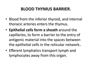 BLOOD THYMUS BARRIER.
• Blood from the inferior thyroid, and internal
thoracic arteries enters the thymus.
• Epithelial cells form a sheath around the
capillaries, to form a barrier to the entry of
antigenic material into the spaces between
the epithelial cells in the reticular network..
• Efferent lymphatics transport lymph and
lymphocytes away from this organ.
 