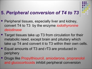 5. Peripheral conversion of T4 to T3
 Peripheral tissues, especially liver and kidney,
convert T4 to T3 by the enzyme iodothyronine
deiodinase
 Target tissues take up T3 from circulation for their
metabolic need, except brain and pituitary which
take up T4 and convert it to T3 within their own cells.
 Equal amounts of T3 and rT3 are produced in
periphery
 Drugs like Propylthiourcil, amiodarone, propranolol
and glucocorticoids inhibit peripheral conversion
 
