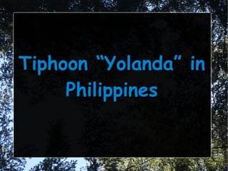 Tiphoon “Yolanda” in
Philippines

 