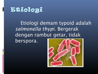 Etiologi
Etiologi demam typoid adalah
salmonella thypi. Bergerak 
dengan rambut getar, tidak
berspora.
 