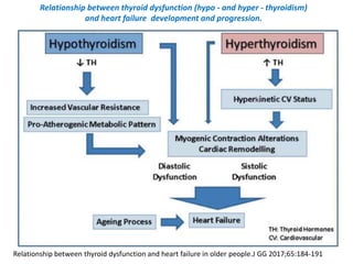 Relationship between thyroid dysfunction (hypo - and hyper - thyroidism)
and heart failure development and progression.
Relationship between thyroid dysfunction and heart failure in older people.J GG 2017;65:184-191
 