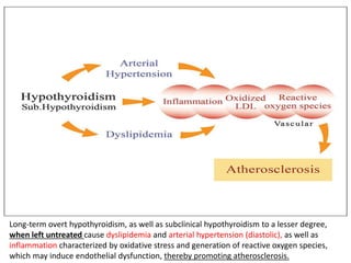Long-term overt hypothyroidism, as well as subclinical hypothyroidism to a lesser degree,
when left untreated cause dyslipidemia and arterial hypertension (diastolic), as well as
inflammation characterized by oxidative stress and generation of reactive oxygen species,
which may induce endothelial dysfunction, thereby promoting atherosclerosis.
 