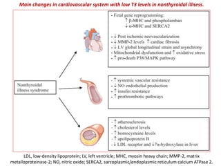 LDL, low-density lipoprotein; LV, left ventricle; MHC, myosin heavy chain; MMP-2, matrix
metalloproteinase-2; NO, nitric oxide; SERCA2, sarcoplasmic/endoplasmic reticulum calcium ATPase 2.
Main changes in cardiovascular system with low T3 levels in nonthyroidal illness.
 