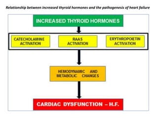Relationship between increased thyroid hormones and the pathogenesis of heart failure
 