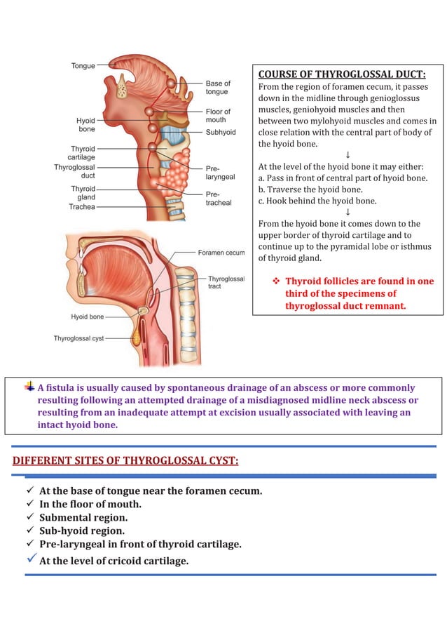 Thyroglossal duct cysts