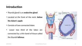 Dr Umesh Kumar Maurya 4
Introduction
• Thyroid gland is an endocrine gland
• Located at the front of the neck, below
the Adam's apple
• Consists of two connected lobes
• Lower two third of the lobes are
connected by a thin band of tissue called
the thyroid isthmus
20/05/2025
 