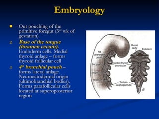 Embryology <ul><li>Out pouching of the primitive foregut (3 rd  wk of gestation) </li></ul><ul><li>Base of the tongue (for...