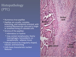 Histopathology
(PTC)

  Numerous true papillae
  Papillae are usually: complex,
   branching, and randomly oriented, with
   a central fibrovascular core and a single
   or stratified lining of cuboidal cells
  Stroma of the papillae:
     edematous or hyaline
     may contain lymphocytes, foamy
      macrophages, hemosiderin, or -
      exceptionally - adipose tissue
  Follicles tend to be irregularly shaped,
   tubular, and branching
  Cells have characteristic nuclear
   features
 