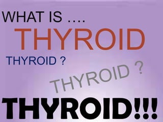WHAT IS ….
 THYROID
THYROID ?



THYROID!!!
 