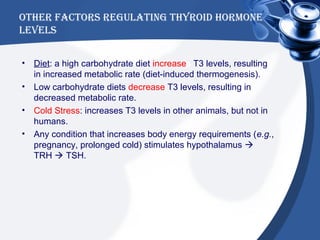 Thyroid Hormone | PPT