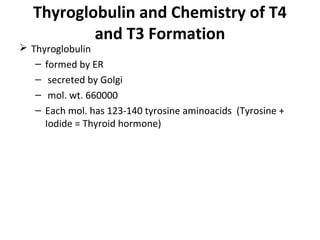 Thyroglobulin and Chemistry of T4
and T3 Formation
 Thyroglobulin
– formed by ER
– secreted by Golgi
– mol. wt. 660000
– Each mol. has 123-140 tyrosine aminoacids (Tyrosine +
Iodide = Thyroid hormone)
 