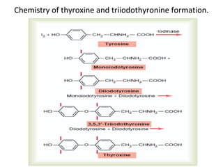 Chemistry of thyroxine and triiodothyronine formation.
 