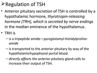 Regulation of TSH
• Anterior pituitary secretion of TSH is controlled by a
hypothalamic hormone, thyrotropin-releasing
hormone (TRH), which is secreted by nerve endings
in the median eminence of the hypothalamus.
• TRH is
– is a tripeptide amide—pyroglutamyl-histidylproline-
amide
– is transported to the anterior pituitary by way of the
hypothalamichypophysial portal blood.
– directly affects the anterior pituitary gland cells to
increase their output of TSH.
 