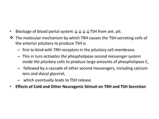 • Blockage of blood portal system ↓↓↓↓TSH from ant. pit.
 The molecular mechanism by which TRH causes the TSH-secreting cells of
the anterior pituitary to produce TSH is
– first to bind with TRH receptors in the pituitary cell membrane.
– This in turn activates the phospholipase second messenger system
inside the pituitary cells to produce large amounts of phospholipase C,
– followed by a cascade of other second messengers, including calcium
ions and diacyl glycerol,
– which eventually leads to TSH release
• Effects of Cold and Other Neurogenic Stimuli on TRH and TSH Secretion
 