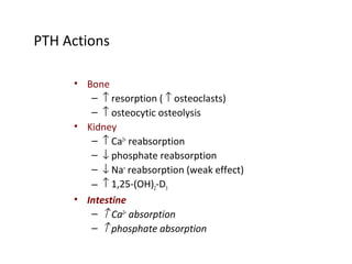• Bone
– ↑ resorption ( ↑ osteoclasts)
– ↑ osteocytic osteolysis
• Kidney
– ↑ Ca2+
reabsorption
– ↓ phosphate reabsorption
– ↓ Na+
reabsorption (weak effect)
– ↑ 1,25-(OH)2-D3
• Intestine
– ↑ Ca2+
absorption
– ↑ phosphate absorption
PTH Actions
 