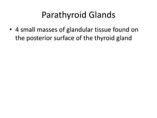 Parathyroid Glands
• 4 small masses of glandular tissue found on
the posterior surface of the thyroid gland

 