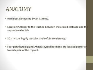 ANATOMY
• two lobes connected by an isthmus.
• Location:Anterior to the trachea between the cricoid cartilage and the
suprasternal notch.
• 20 g in size, highly vascular, and soft in consistency.
• Four parathyroid glandsparathyroid hormone are located posterior
to each pole of the thyroid.
 