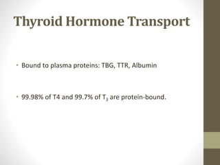 Thyroid Hormone Transport
• Bound to plasma proteins: TBG, TTR, Albumin
• 99.98% of T4 and 99.7% of T3 are protein-bound.
 