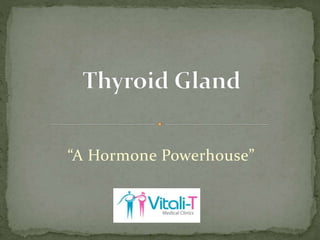 “A Hormone Powerhouse”
 
