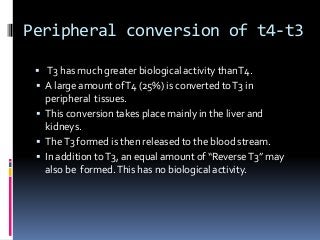 Peripheral conversion of t4-t3
 T3 has much greater biological activity thanT4.
 A large amount ofT4 (25%) is converted toT3 in
peripheral tissues.
 This conversion takes place mainly in the liver and
kidneys.
 TheT3 formed is then released to the blood stream.
 In addition toT3, an equal amount of “ReverseT3” may
also be formed.This has no biological activity.
 