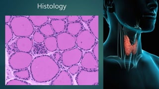 Histology
 