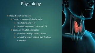 Physiology
 Production of hormones:
 Thyroid hormones (Follicular cells)
 Triiodothyronine “T3”
 Tetraiodothyronine “Thyroxine”“T4”
 Calcitonin (Parafollicular cells)
 Stimulated by high serum calcium
 Lowers the serum calcium by inhibiting
osteoclasts
 