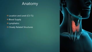 Anatomy
Location and Level (C5-T1)
Blood Supply
Lymphatics
Closely Related Structures
 