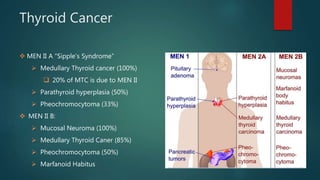 Thyroid Cancer
 MEN II A “Sipple’s Syndrome”
 Medullary Thyroid cancer (100%)
 20% of MTC is due to MEN II
 Parathyroid hyperplasia (50%)
 Pheochromocytoma (33%)
 MEN II B:
 Mucosal Neuroma (100%)
 Medullary Thyroid Caner (85%)
 Pheochromocytoma (50%)
 Marfanoid Habitus
 