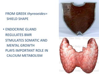• FROM GREEK thyreoeides=
SHIELD SHAPE
• ENDOCRINE GLAND
• REGULATES BMR
• STMULATES SOMATIC AND
MENTAL GROWTH
• PLAYS IMPORTANT ROLE IN
CALCIUM METABOLISM
 
