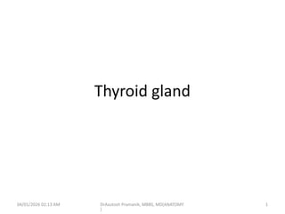 Comprehensive Anatomy and Physiology of the Thyroid Gland | PPTX