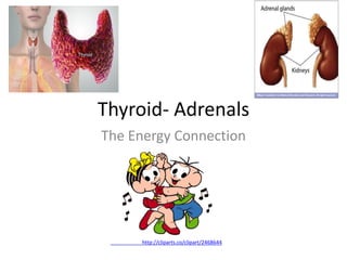 Thyroid- Adrenals
The Energy Connection
http://cliparts.co/clipart/2468644
 