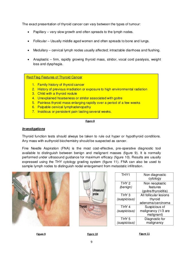 Harga produk garcinia burner photo 1