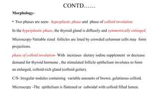 THYROID-FINAL made by Dr sanghamitra maam.pptx