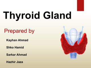 ThyThyroid Gland
Prepared by
Kayhan Ahmad
Shko Hamid
Sarkar Ahmad
Hazhir Jaza
 