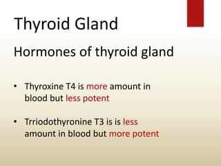 Thyroid Gland
Hormones of thyroid gland
• Thyroxine T4 is more amount in
blood but less potent
• Trriodothyronine T3 is is less
amount in blood but more potent
 
