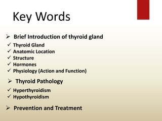 Key Words
 Brief Introduction of thyroid gland
 Thyroid Gland
 Anatomic Location
 Structure
 Hormones
 Physiology (Action and Function)
 Hyperthyroidism
 Hypothyroidism
 Thyroid Pathology
 Prevention and Treatment
 