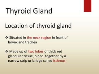 Thyroid Gland
Location of thyroid gland
 Situated in the neck region in front of
larynx and trachea
 Made up of two lobes of thick red
glandular tissue joined together by a
narrow strip or bridge called isthmus
 