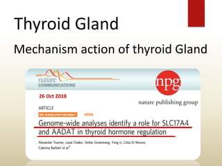 Thyroid Gland
Mechanism action of thyroid Gland
26 Oct 2018
 