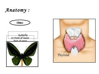 Anatomy : Site In front of lower Part of neck Shape butterfly 