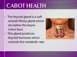 • The thyroid gland is a soft
  smooth fleshy gland which
  sits below the larynx
  (voice box).
• This gland produces
  thyroid hormone which
  controls the metabolic rate.
 