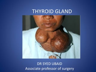 THYROID GLAND
DR SYED UBAID
Associate professor of surgery
 