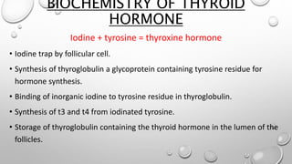 BIOCHEMISTRY OF THYROID
HORMONE
Iodine + tyrosine = thyroxine hormone
• Iodine trap by follicular cell.
• Synthesis of thyroglobulin a glycoprotein containing tyrosine residue for
hormone synthesis.
• Binding of inorganic iodine to tyrosine residue in thyroglobulin.
• Synthesis of t3 and t4 from iodinated tyrosine.
• Storage of thyroglobulin containing the thyroid hormone in the lumen of the
follicles.
 