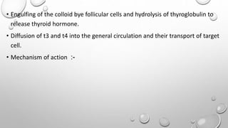 • Engulfing of the colloid bye follicular cells and hydrolysis of thyroglobulin to
release thyroid hormone.
• Diffusion of t3 and t4 into the general circulation and their transport of target
cell.
• Mechanism of action :-
 