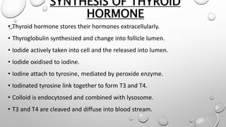 SYNTHESIS OF THYROID
HORMONE
• Thyroid hormone stores their hormones extracellularly.
• Thyroglobulin synthesized and change into follicle lumen.
• Iodide actively taken into cell and the released into lumen.
• Iodide oxidised to iodine.
• Iodine attach to tyrosine, mediated by peroxide enzyme.
• Iodinated tyrosine link together to form T3 and T4.
• Colloid is endocytosed and combined with lysosome.
• T3 and T4 are cleaved and diffuse into blood stream.
 