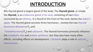 INTRODUCTION
The thyroid gland is largest gland of the body. The thyroid gland, or simply
the thyroid, is an endocrine gland in he neck, consisting of two lobes
connected by an isthmus. It is found at the front of the neck, below the adam's
apple. The thyroid gland secretes three hormones , namely the two thyroid
hormones (thyroxine/T4 and
Triiodothyronine/T3) and calcitonin. The thyroid hormones primarily influence
the metabolic rate and protein synthesis, but they also have many other
effects, including effects on development. Calcitonin plays a role in calcium
homeostasis.
 